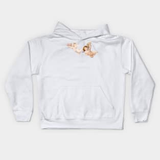 Renaissance Cherubs Kids Hoodie